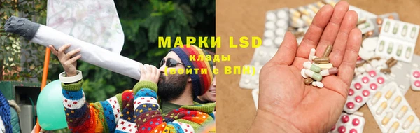 прущая мука Инсар
