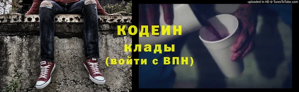 хмурый Инта