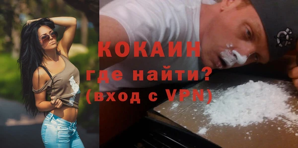 хмурый Инта