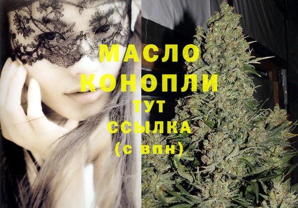 хмурый Инта