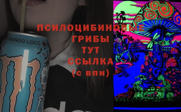 хмурый Инта