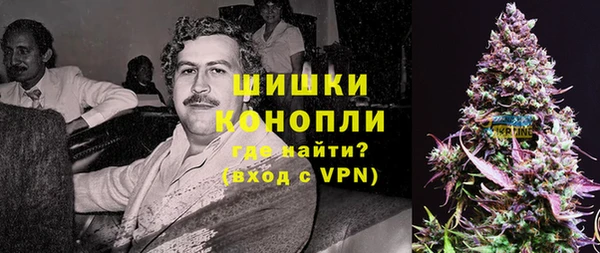 хмурый Инта