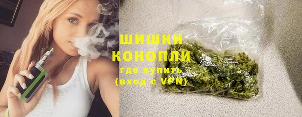 хмурый Инта