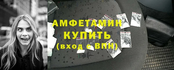 прущая мука Инсар