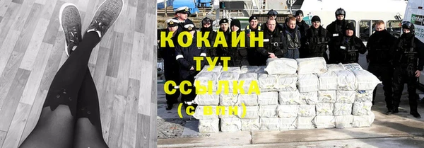 хмурый Инта