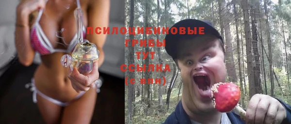 прущая мука Инсар