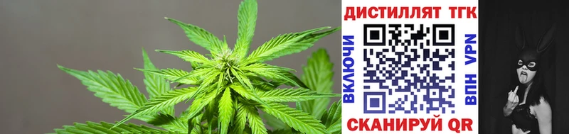 ТГК Wax  Купить  Миллерово 